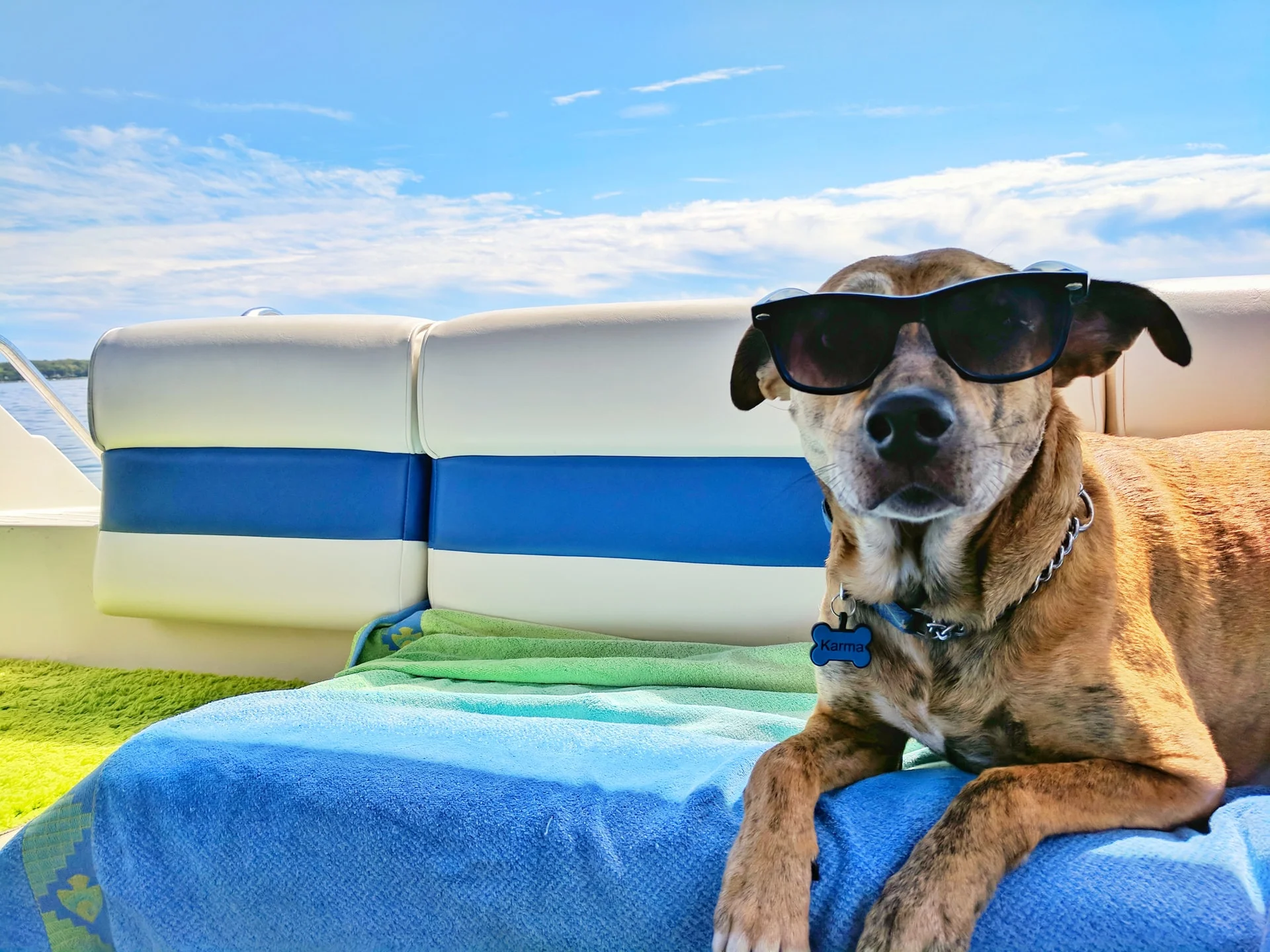 Dog best sale friendly vacations